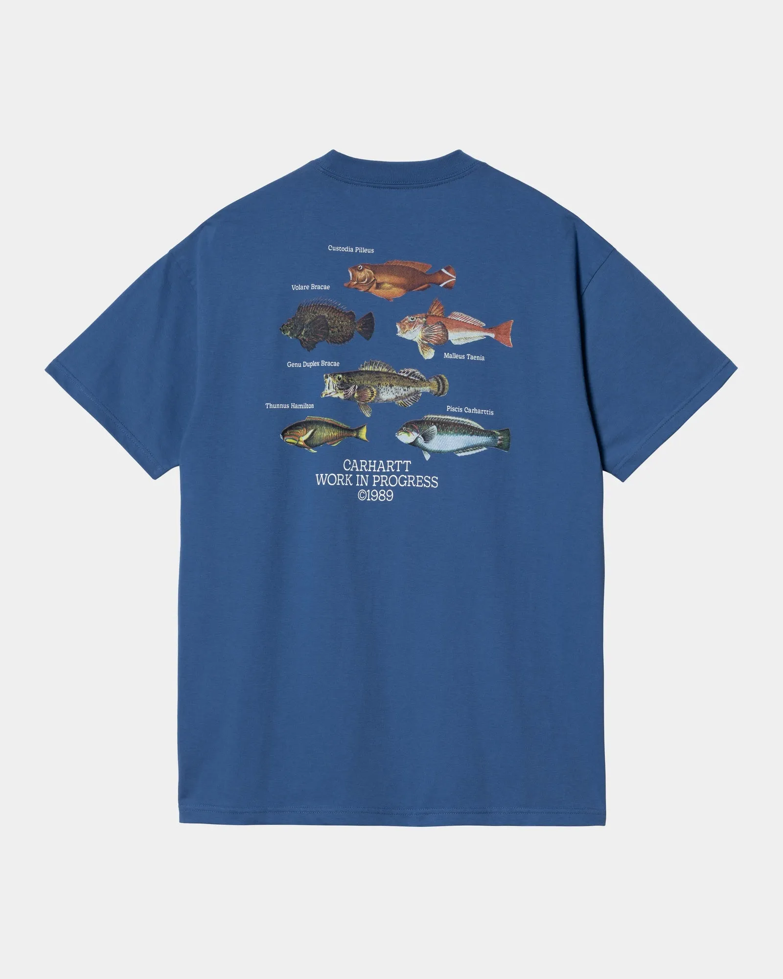 Fish T-Shirt | Acapulco