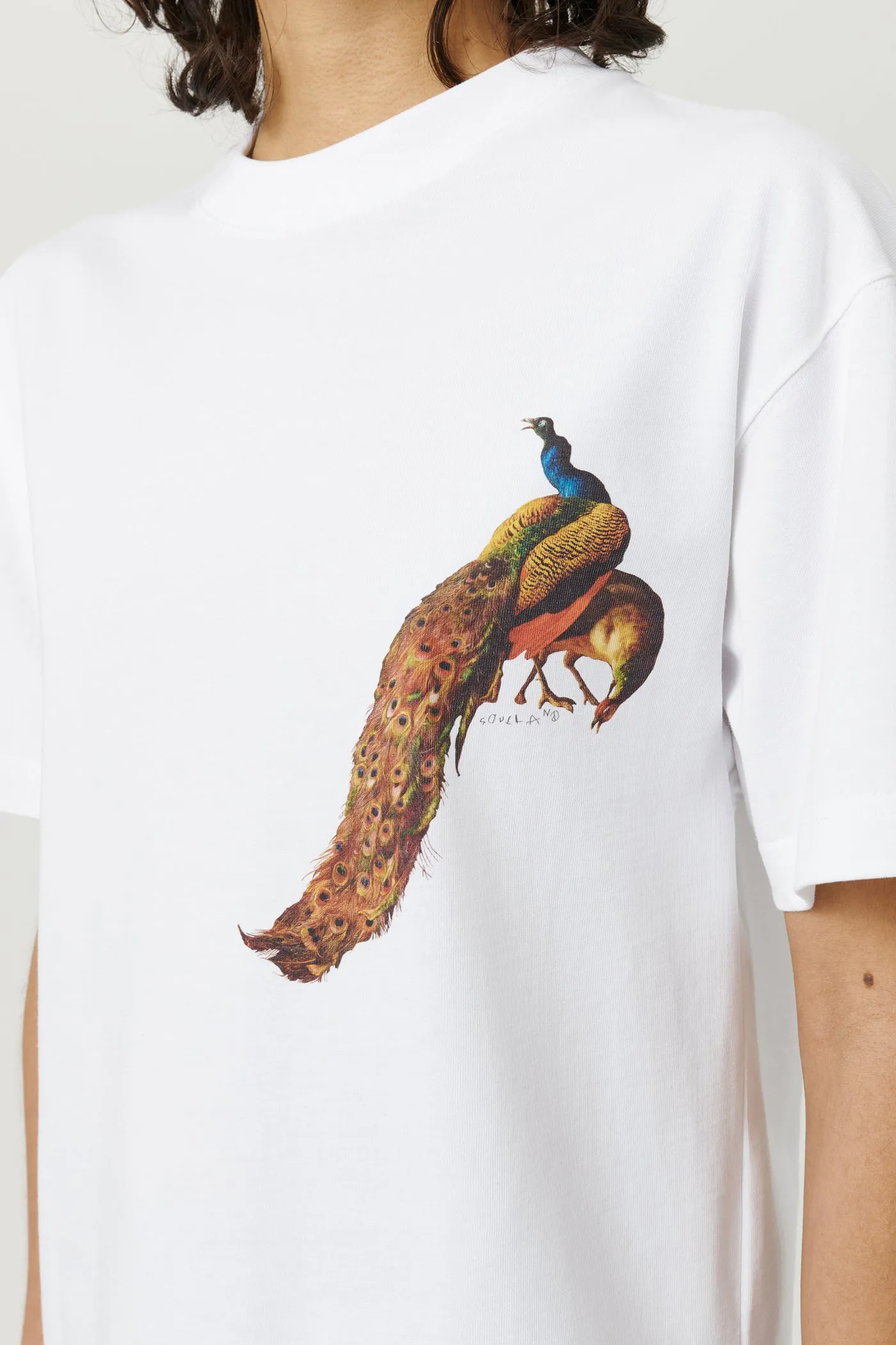 KAI PEACOCK T-shirt